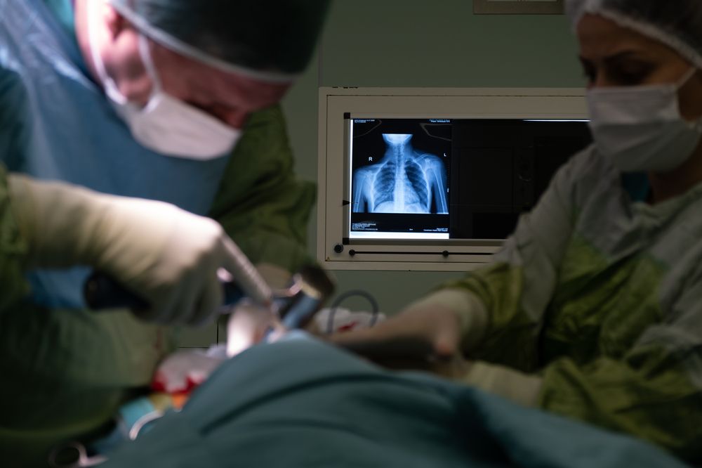 Фотография автора Javid Hashimov