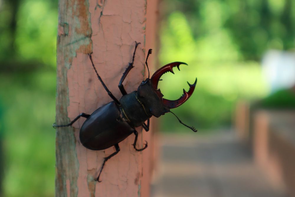 Photograph by Евгения