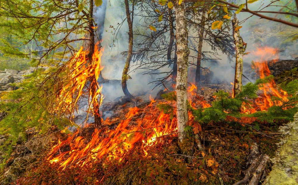 Photograph by Владимир Акиньшин