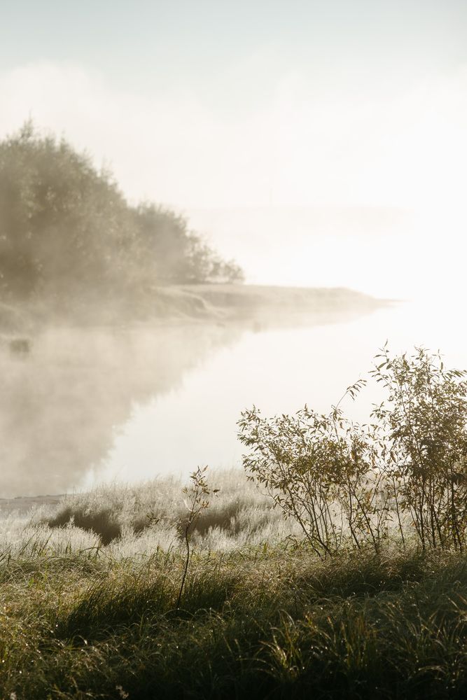 Photograph by Григорий Пиль