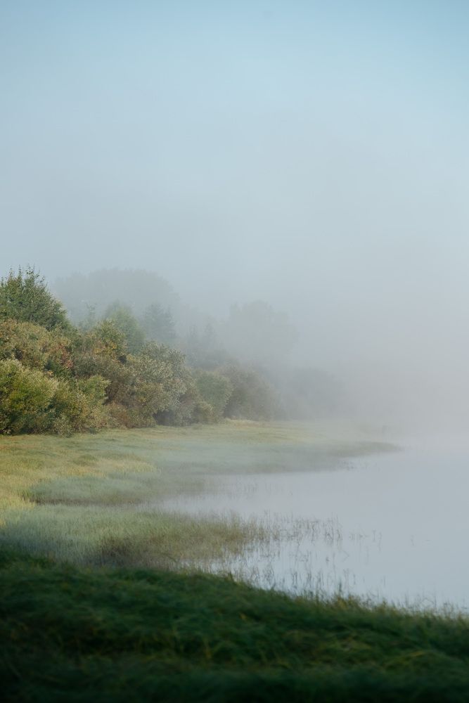 Photograph by Григорий Пиль