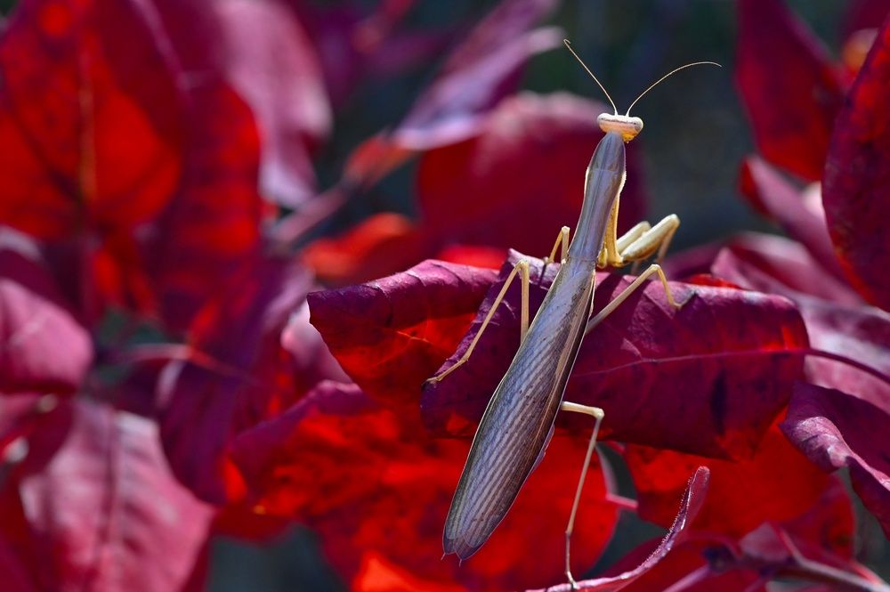 Photograph by Дмитрий Батагов