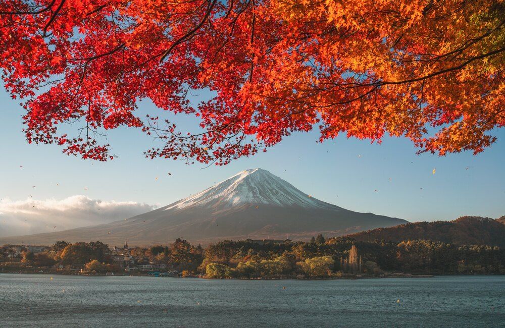 Фотография автора Nguyen Khac Tien