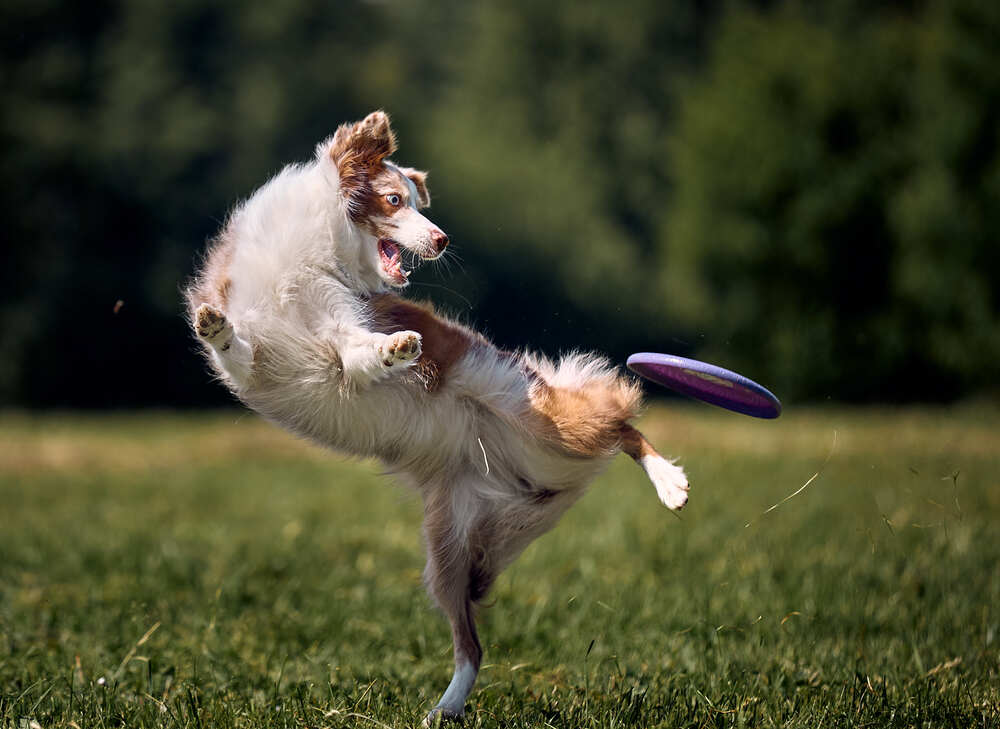 Photograph by Mikhail Khmelevskiy