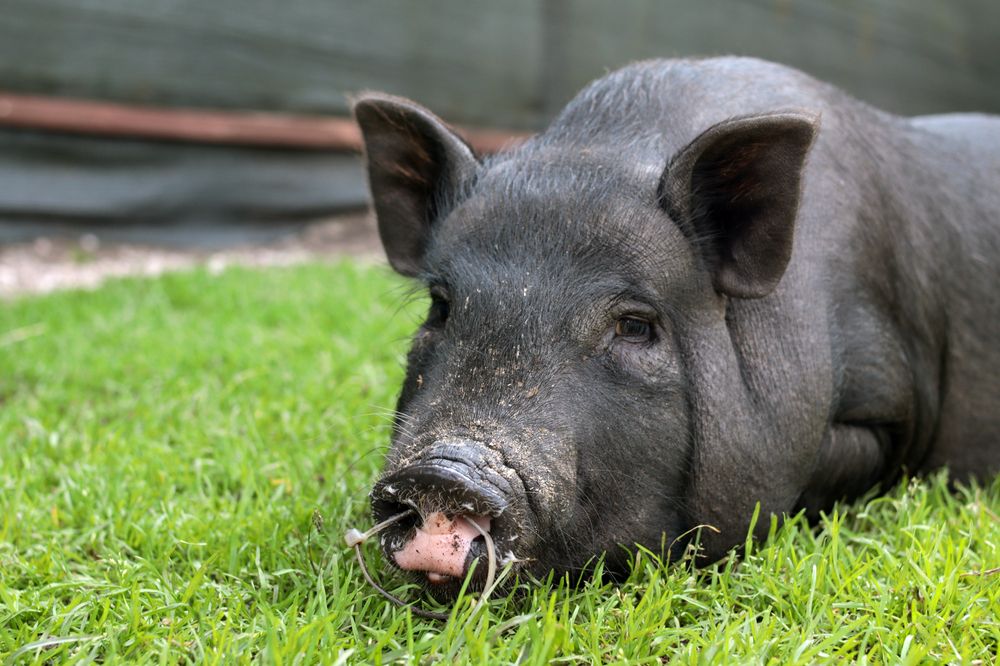 Photograph by Евгения