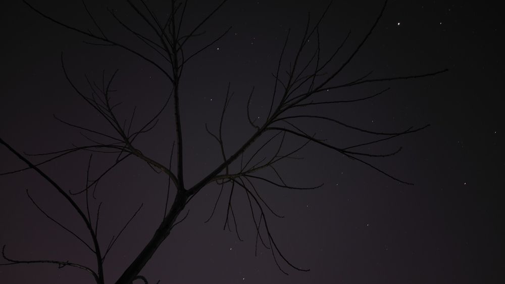 Photo #11983469