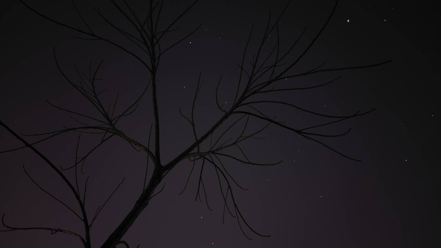 Photo #11983469