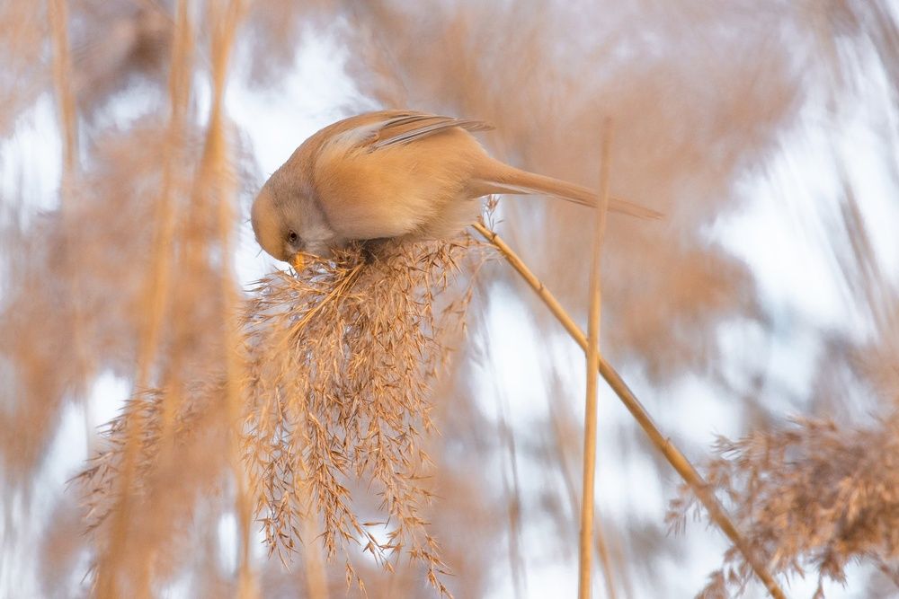 Photograph by Мария Долбич