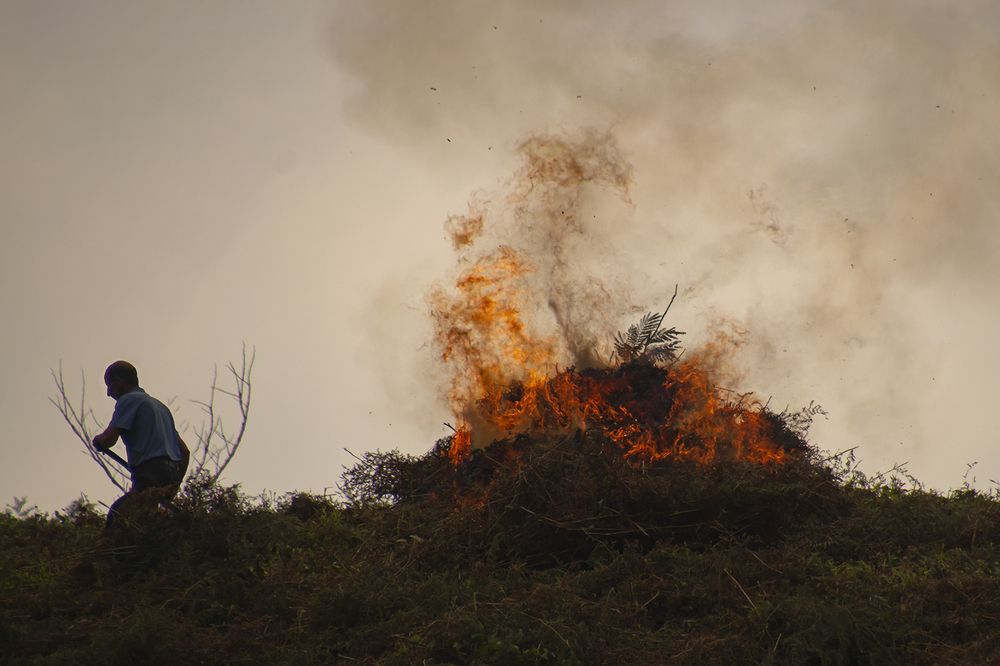 There Is Horor Among Thieves!