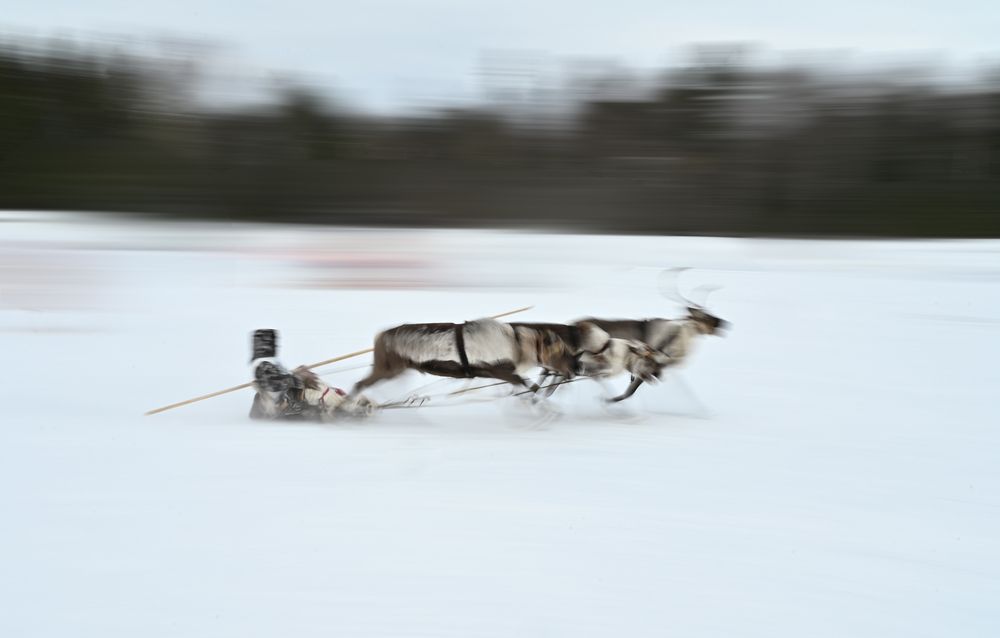 Photograph by Татьяна Борисова