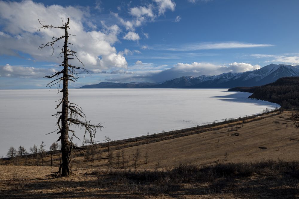 Стоит одиноко...