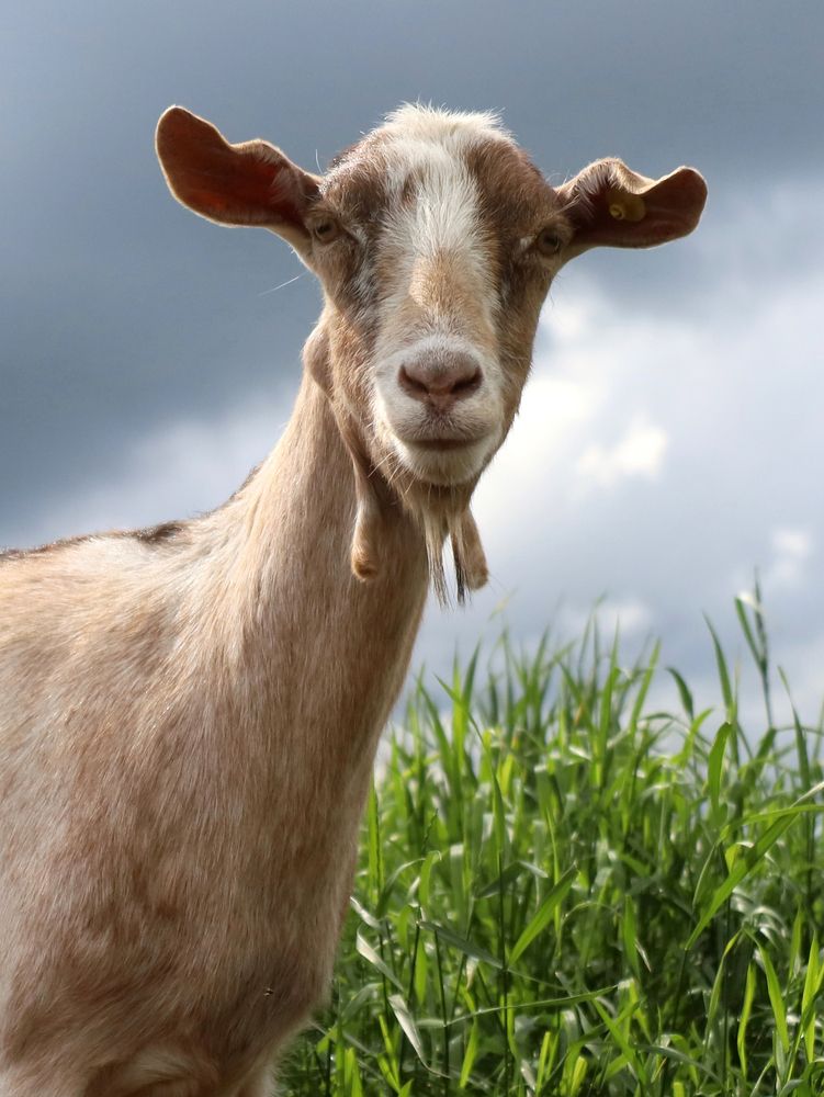 Photograph by Марианна Браун