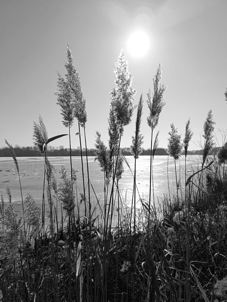 Фотография автора Михаил Бурминский