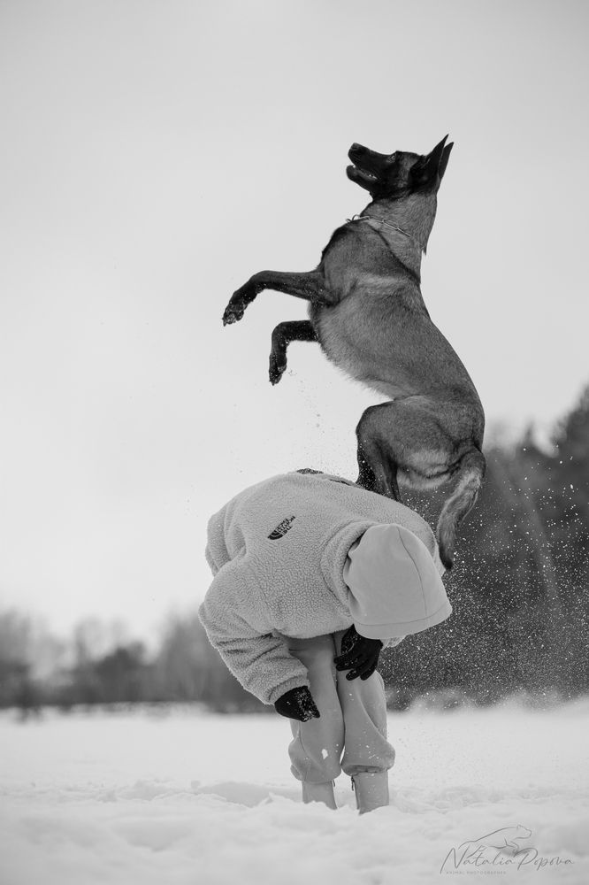 Фотография автора Наталия Попова