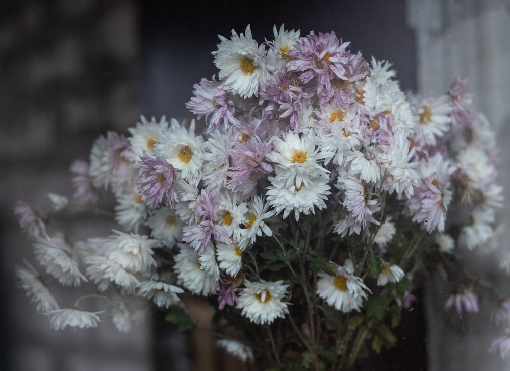 Натюрморт на стройке.