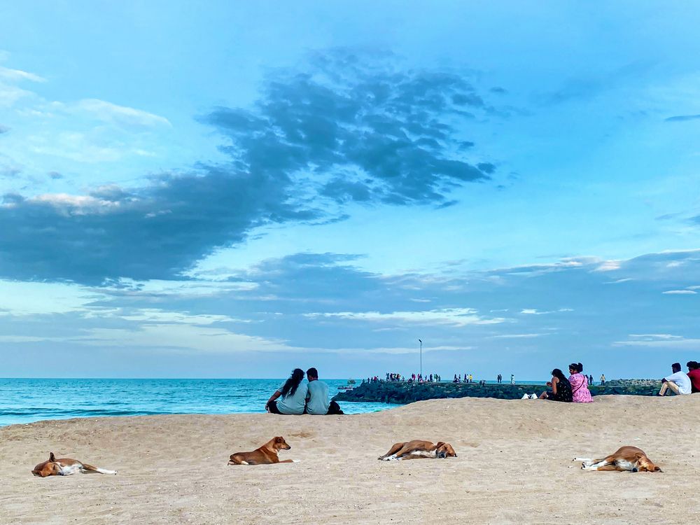 Photograph by Karunakaran Ramalingam