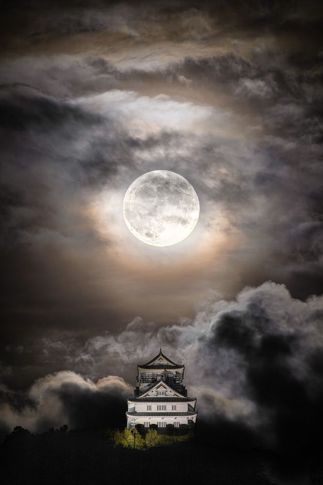 Photograph by Hiroki Matsubara