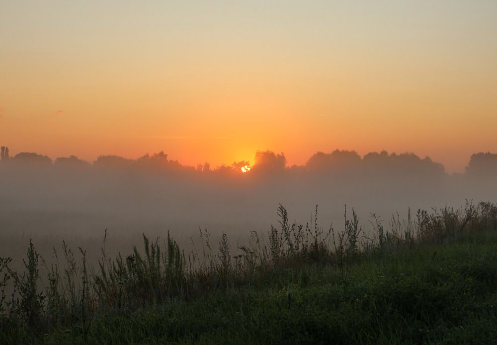 Photograph by Ольга Попченко