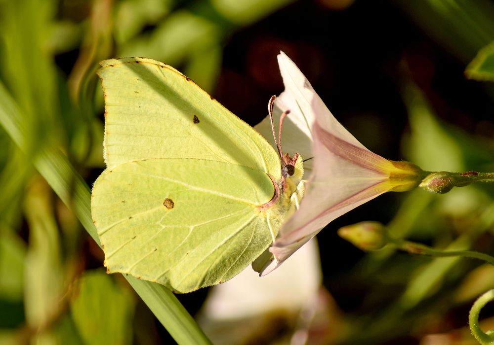 Фотография автора Оксана Льдинина