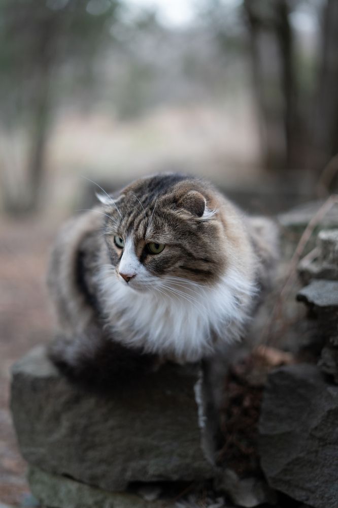 Photograph by Даниил Гордеев