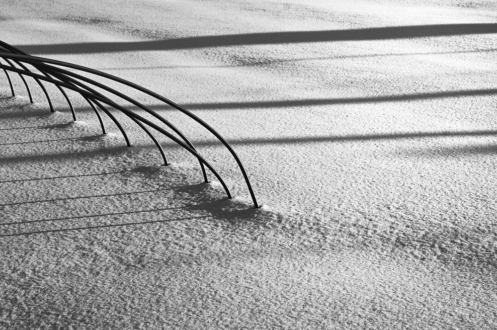 Photograph by Nobu-Oh