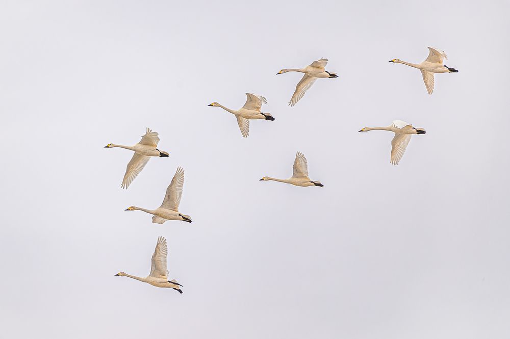 Photograph by Oleg Fedorov