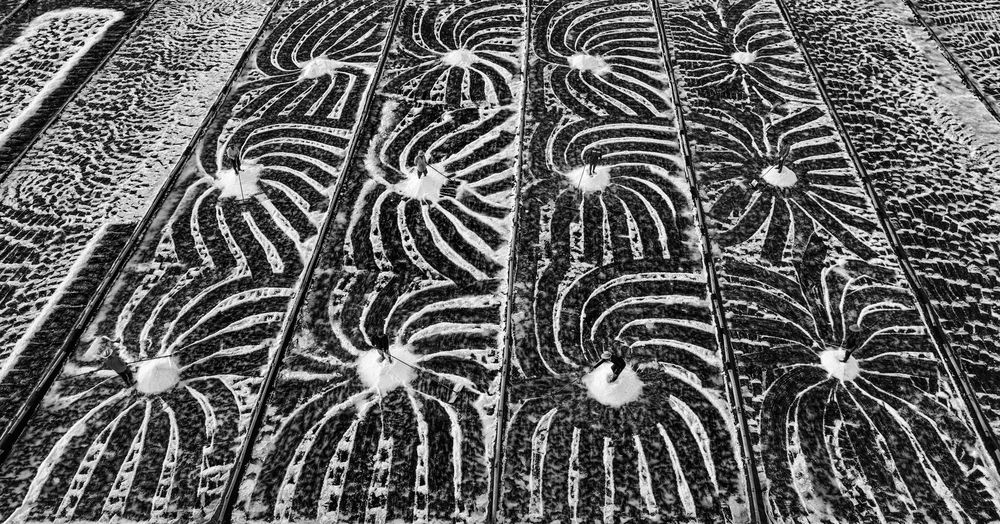 Photograph by Tuấn Nguyễn Tấn