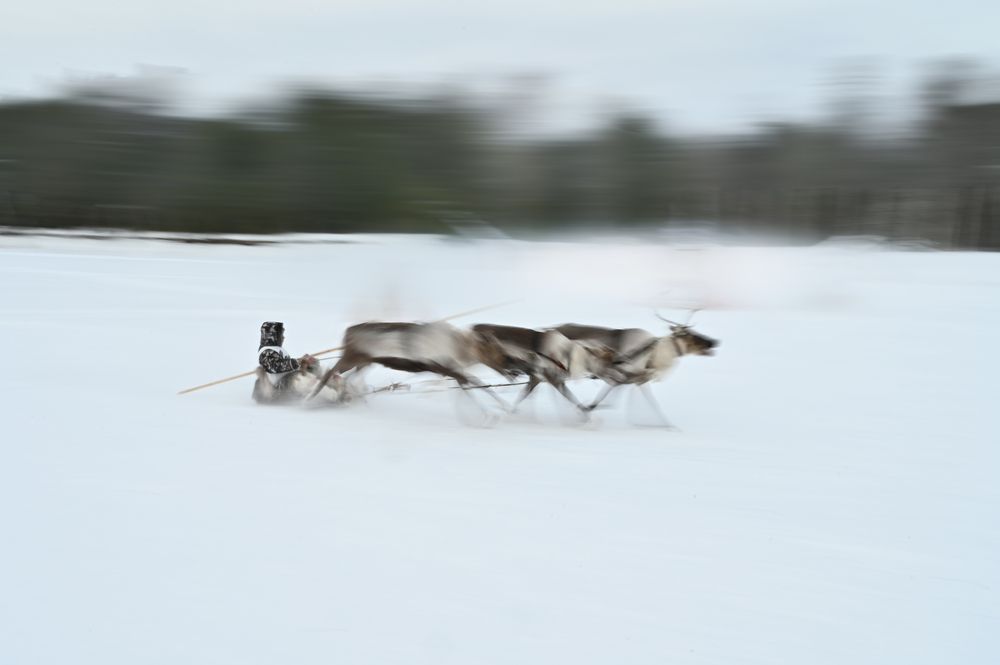 Photograph by Татьяна Борисова