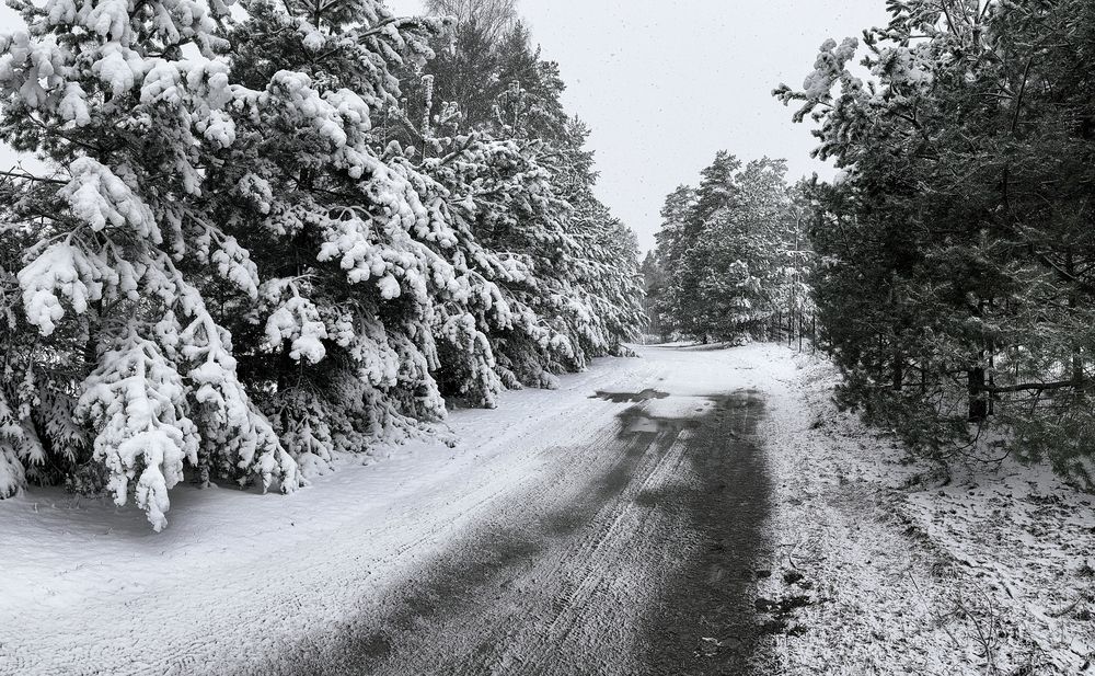 Фотография автора Inga Ivanova