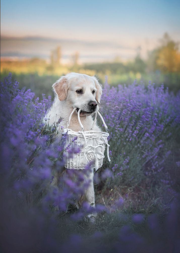 Photograph by Наталья Орел