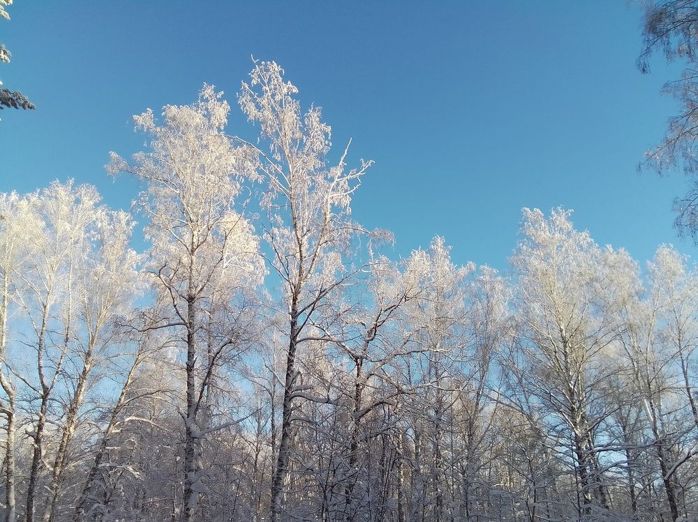 Photograph by Лилия Исхакова