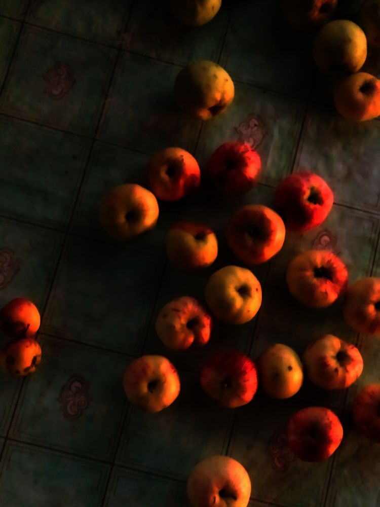 зима пройдёт, весна и лето