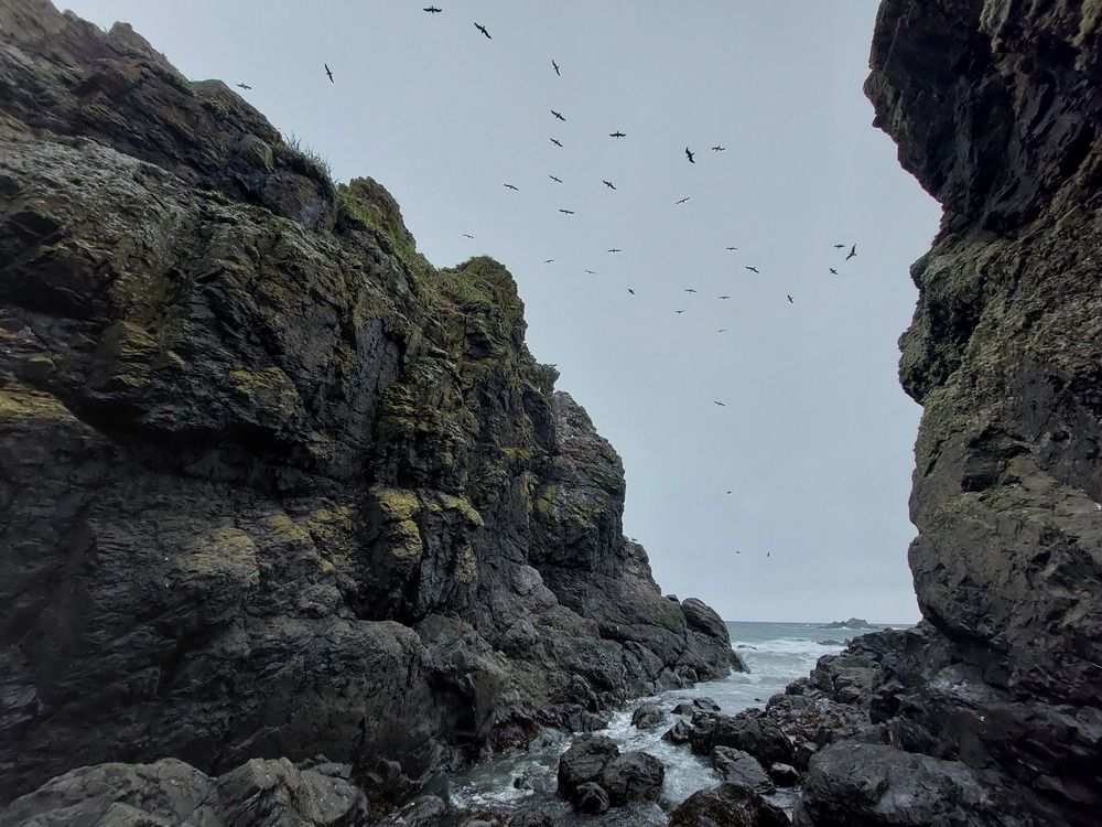 Photograph by Маринова Марина