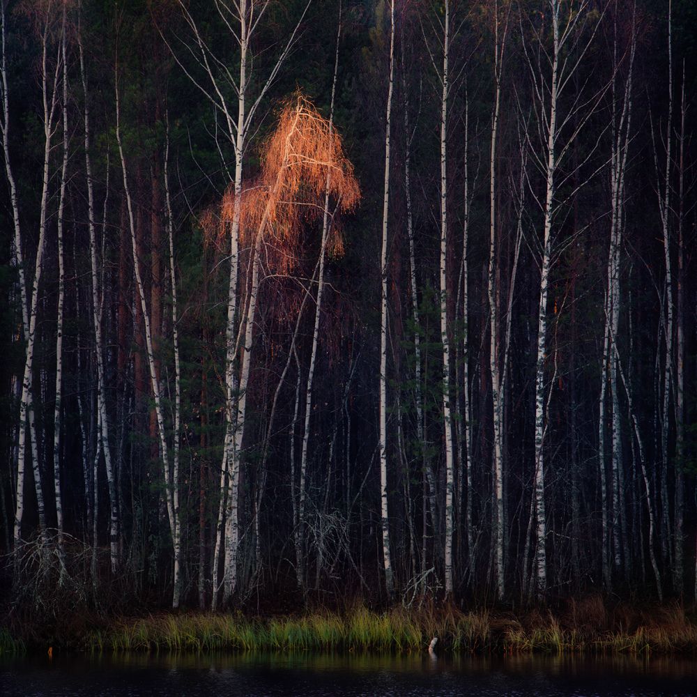 Последний концерт