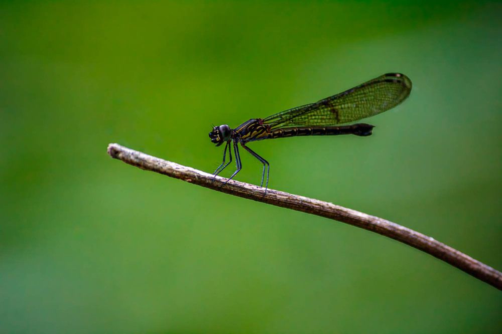 Фотография автора Hari Venkatesh