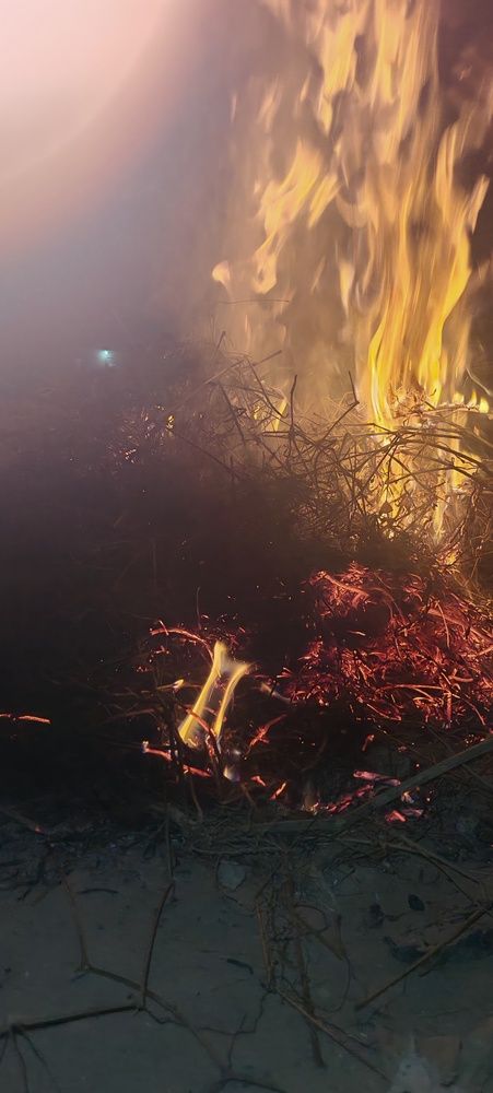 Фотография автора BIBEK chettri