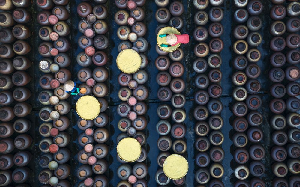 Photograph by Tuấn Nguyễn Tấn