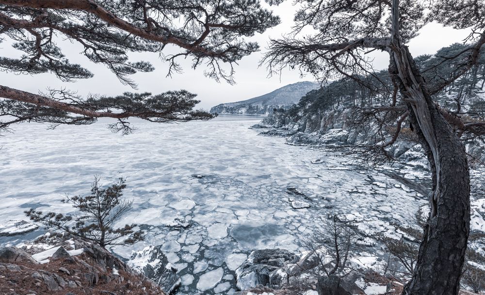 Фотография автора Григорьева Лана