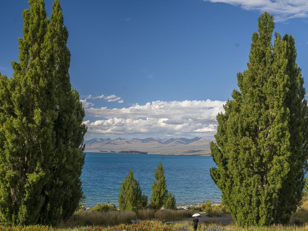 Photograph by Алексей Заморкин