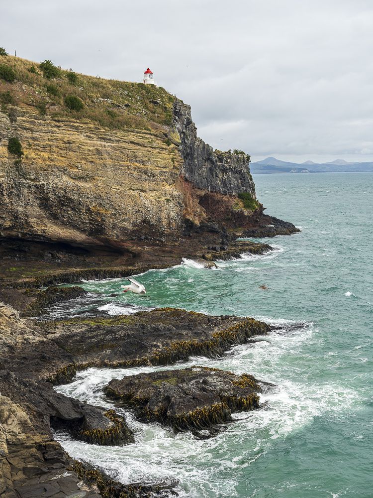 Photograph by Алексей Заморкин