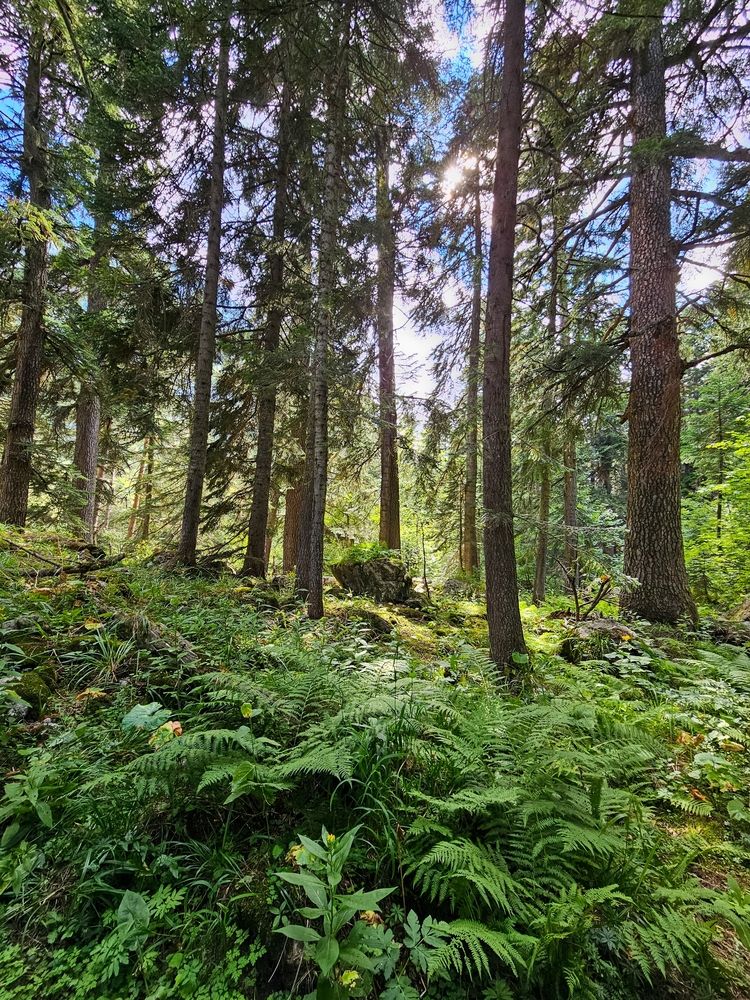 Photograph by Юлия Зигангирова