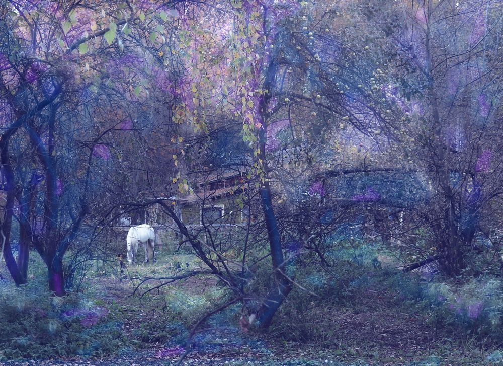 Photograph by Татьяна Пашинцева