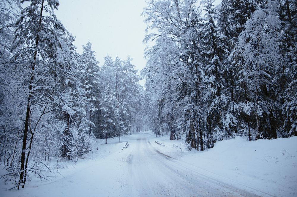 Photograph by Наталья Гранфельд