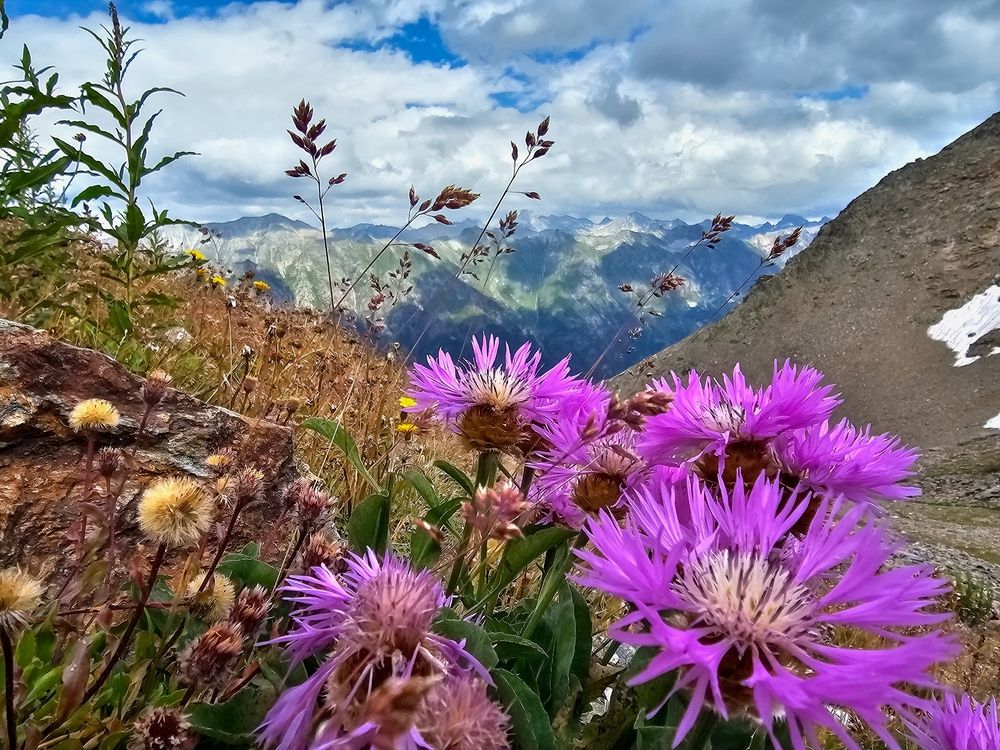 Photograph by Юлия Зигангирова