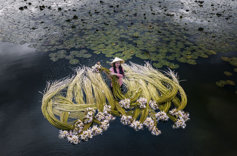 Photograph by Tuấn Nguyễn Tấn
