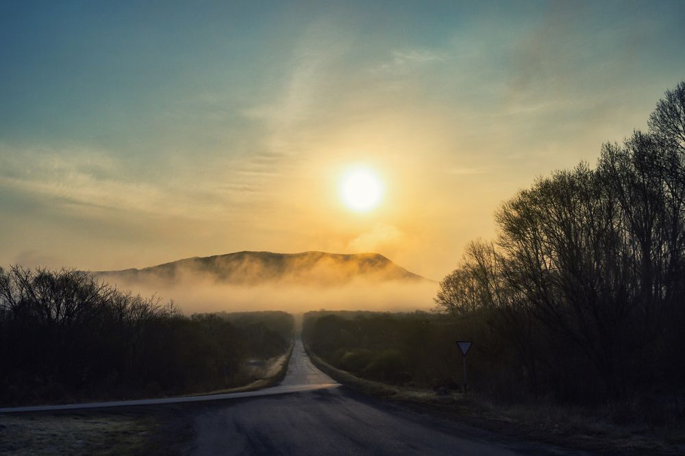 Фотография автора Анна Олещук