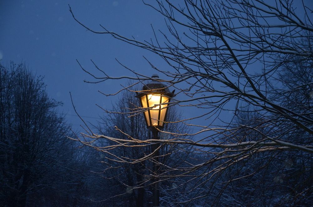 Photograph by Татьяна Чурикова