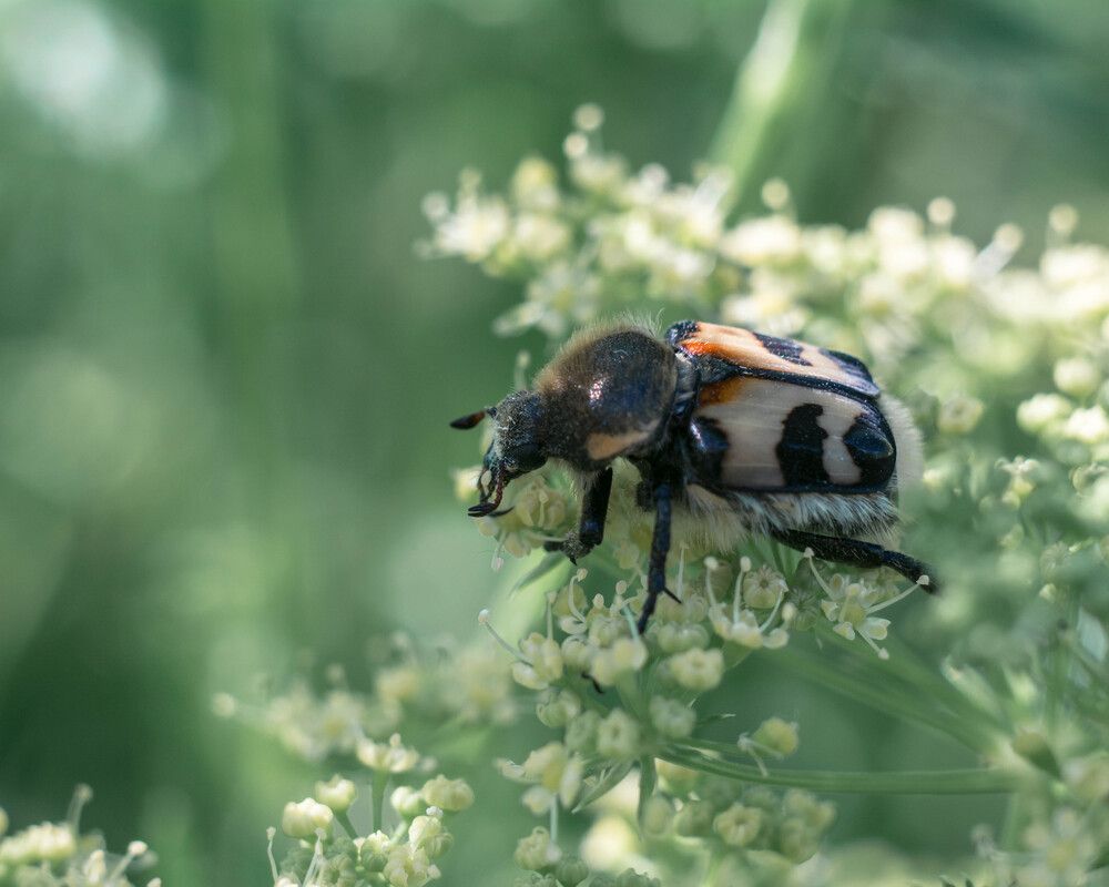 Photograph by Людмила Прибылова
