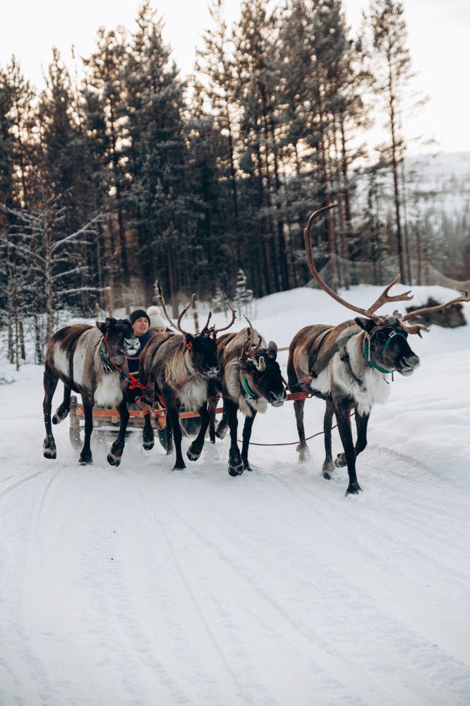 Photograph by Мария Корвин-Кучинская