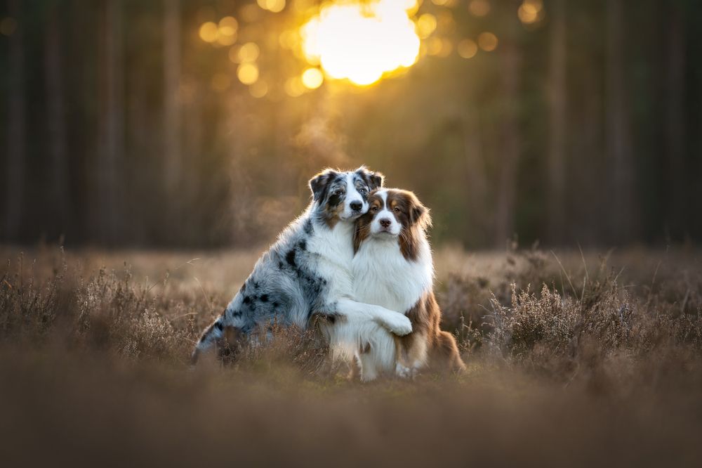 Photograph by Johanna Mehrke